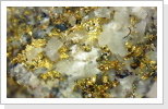 Gediegen Gold in Quarz Sirnitz Bildausschnitt 3mm Gediegen Gold in Quarz Sirnitz Bildausschnitt 3mm